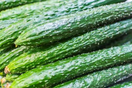 今日西小瓜价格最新行情,今日行情一览