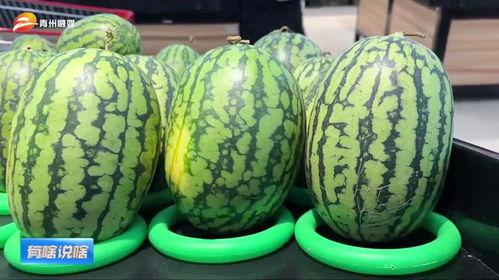 今日开启吃瓜模式,娱乐圈新鲜事一网打尽！