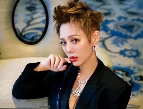 明星网红来贵阳是谁,共绘城市新篇章”