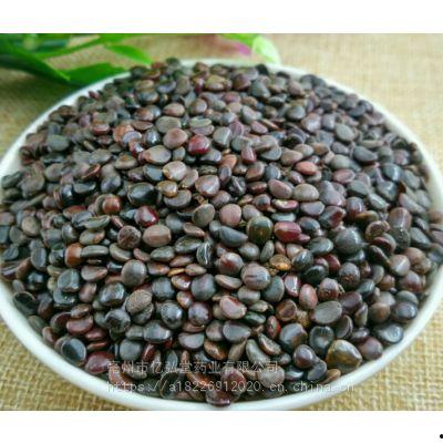 王瓜批发价格今日多少钱一斤,今日王瓜批发价格行情一览