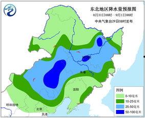 今日东北产区地雷瓜行情,价格波动与市场动态解析”