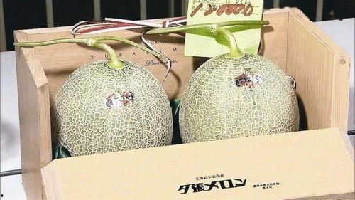 29号蜜瓜价格今日行情