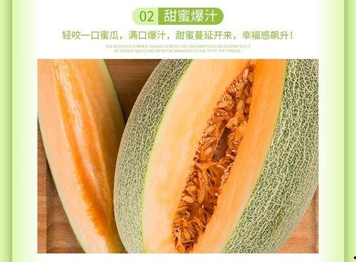 海南哈密瓜今日行情1月5日,新鲜上市，价格走俏