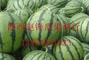 海南哈密瓜行情今日价格,价格行情一览