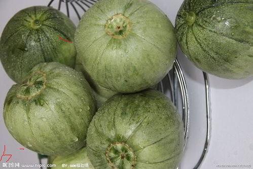 今日九月瓜价格,市场行情一览”