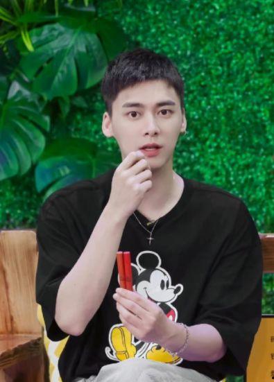 朝阳区有哪些明星网红,璀璨星光下的网络新势力