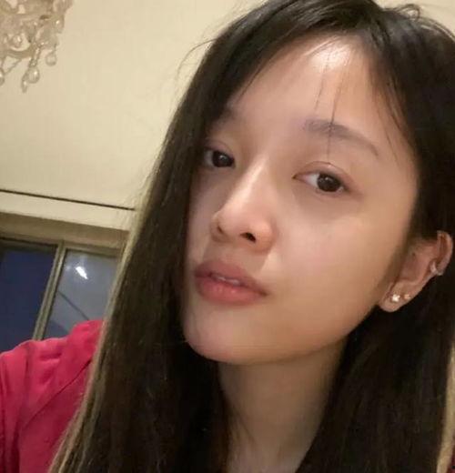 明星网红非真人直播视频,明星效应下的虚拟互动世界