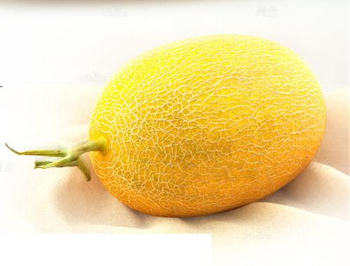 今日北海哈密瓜丝瓜价格,市场行情一览”