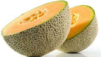 今日北海哈密瓜丝瓜价格,市场行情一览”