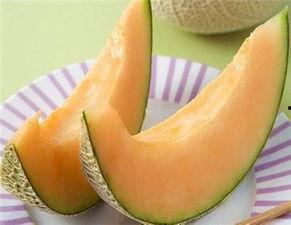 今日北海哈密瓜丝瓜价格,市场行情一览”