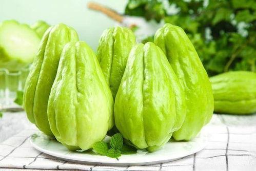 今日石河子佛手瓜价格,市场行情实时解析”