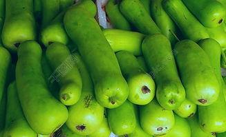 蔬菜蒲瓜今日行情价格表,价格波动解析与市场趋势洞察