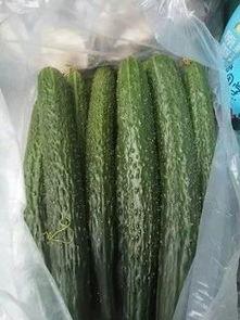 蔬菜蒲瓜今日行情价格表,价格波动解析与市场趋势洞察