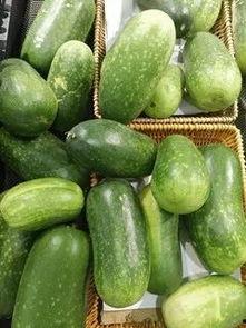 蔬菜蒲瓜今日行情价格表,价格波动解析与市场趋势洞察