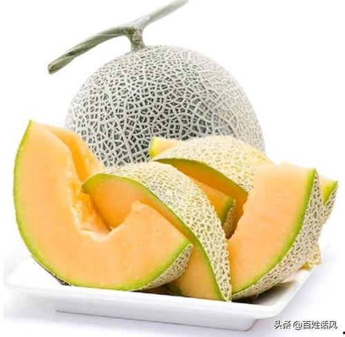 今日水果推荐哈密瓜,哈密瓜——沙漠中的清凉果王
