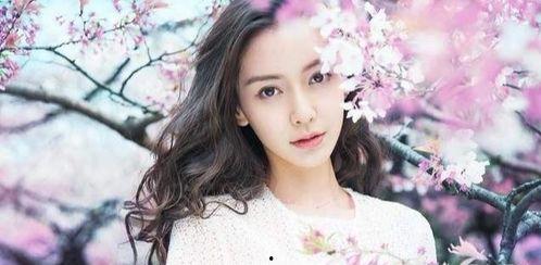 探多明星网红是谁,谁是幕后热门人物？