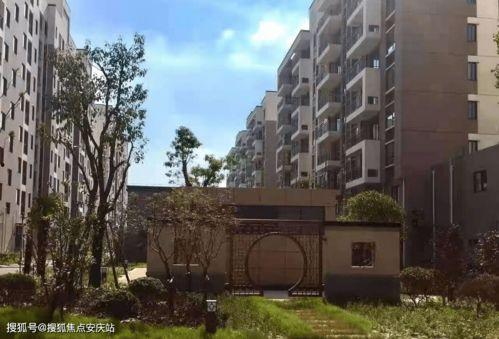 茄瓜行情今日最新走势图,今日走势图解析，涨跌态势一览无余