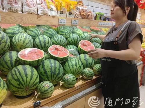 今日旱瓜价格行情最新,今日价格波动解析