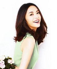 明星网红一个圈,跨界合作与影响力解析