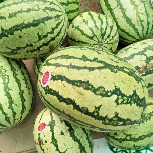 麒麟瓜今日价格宁夏,新鲜上市，品质保证！”