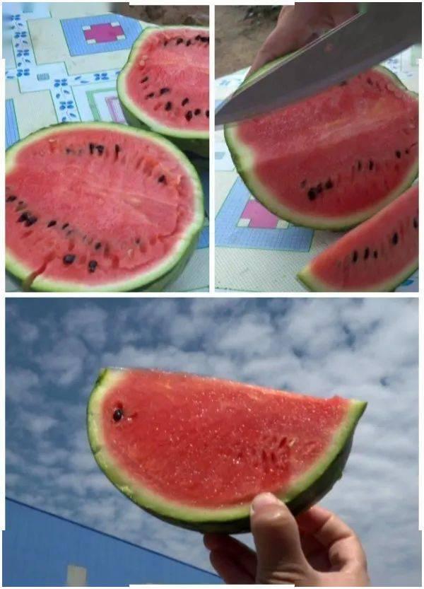 蒲城吊瓜今日价格表,行情波动，品质依旧