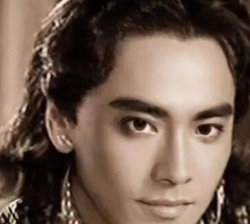 金发男明星网红是谁,揭秘金发男明星网红的璀璨魅力