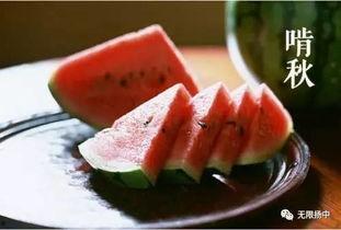 今日立秋丨吃瓜消暑,瓜果飘香，尽享消暑时光