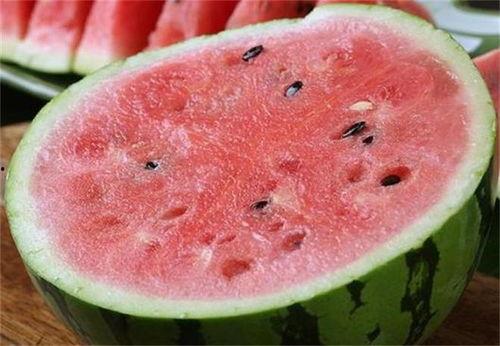 金乡县麒麟瓜今日行情,丰收喜人，价格稳中有升”