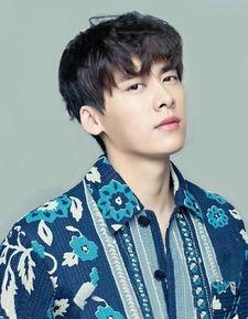 粉丝名猜明星网不红,粉丝名独特却鲜为人知的明星网不红之谜