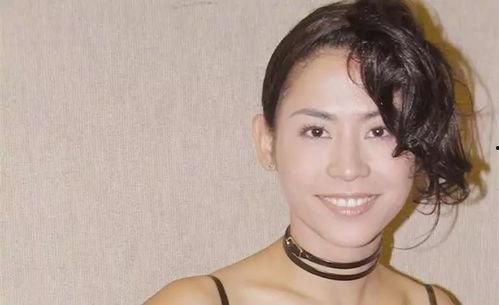 有哪些明星网红艺人是,盘点当红炸子鸡