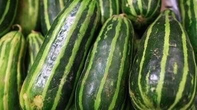 今日有什么瓜,娱乐圈最新瓜料，揭秘明星幕后故事