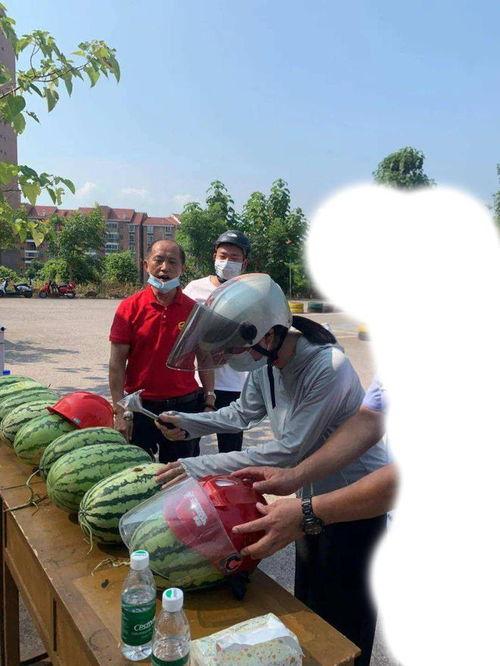 西安今日吃瓜事件最新,一场网络热议背后的真相揭秘