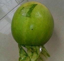 西安今日吃瓜事件最新,一场网络热议背后的真相揭秘