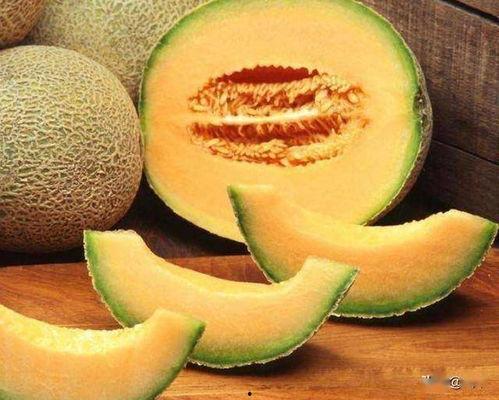 今日哈密瓜的价格查询,今日哈密瓜价格行情一览