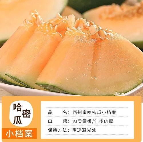 今日海南哈密瓜批发价,品质佳受市场热捧