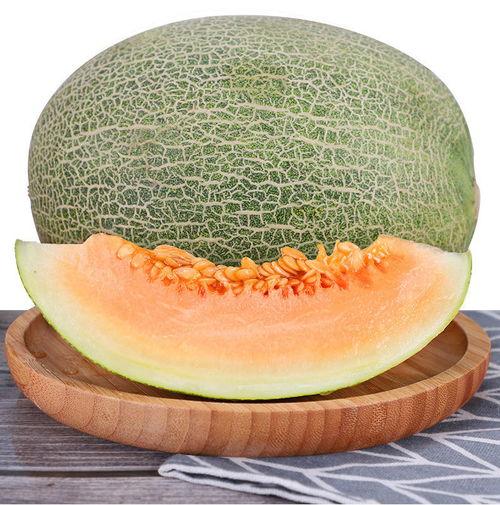 今日海南哈密瓜批发价,品质佳受市场热捧