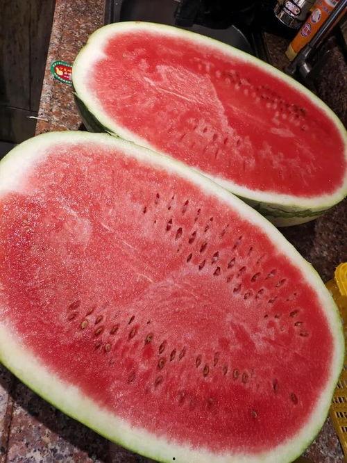 今日瓜干价格行情最新,价格波动与趋势分析