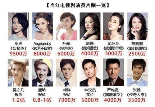 辩证的看待明星网红现象,明星网红现象的辩证审视与多维影响