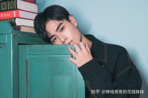 辩证的看待明星网红现象,明星网红现象的辩证审视与多维影响