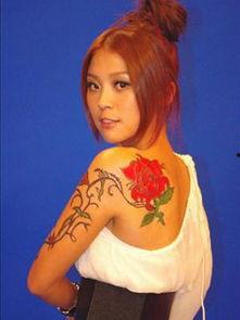 明星网红大牌排行榜,揭秘流量密码与影响力新趋势