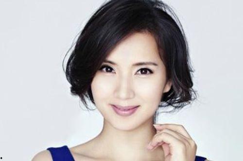 明星网红大牌排行榜,揭秘流量密码与影响力新趋势