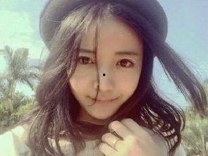 2024塌房明星网红合集,揭秘娱乐圈风云变幻