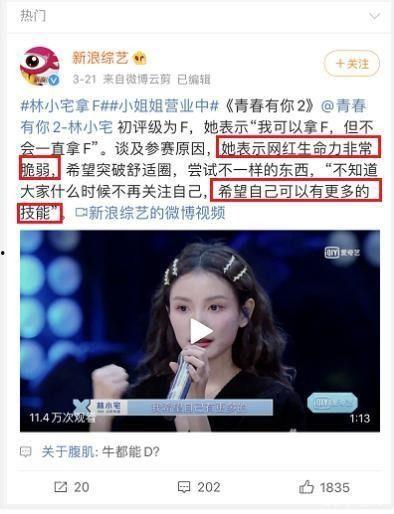 明星网红互相效应有哪些,跨界合作背后的影响力解析