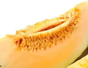 今日蜜瓜继续特价优惠价大量发货,限时抢购，海量发货中！