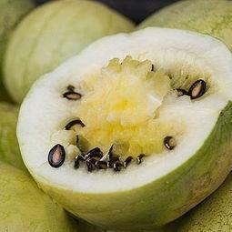 小吊瓜今日产地行情,今日价格波动及市场动态解析”