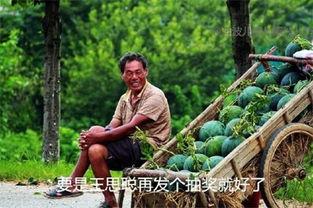 吃瓜今日吃瓜汇总在线观看,在线观看，一网打尽热点事件