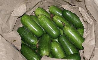 今日毛瓜批发价格,涨跌互现，市场动态解析