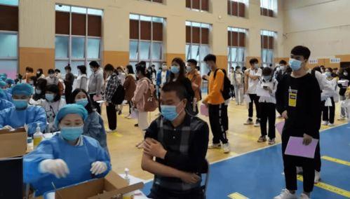 灵溪今日吃瓜最新消息,揭秘今日热点事件背后的真相