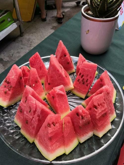 宁夏今日吃瓜爆料