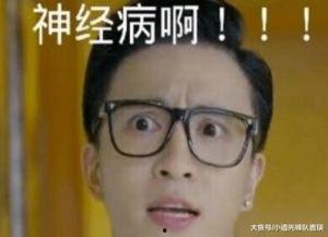 明星网红的口头禅,揭秘他们的个性魅力